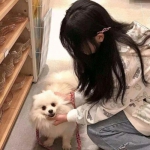 海贼大乱斗手机版下载